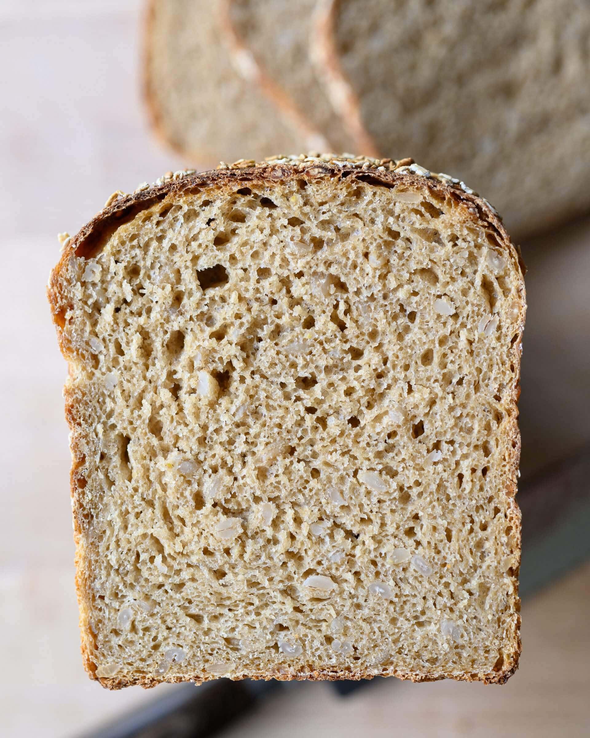 Honey whole wheat and barley pan loaf crumb (interior)