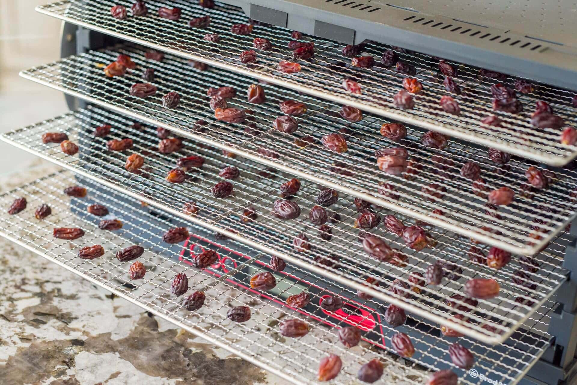 Dehydrated grapes in the B&T Sahara Food Dehydrator via @theperfectloaf