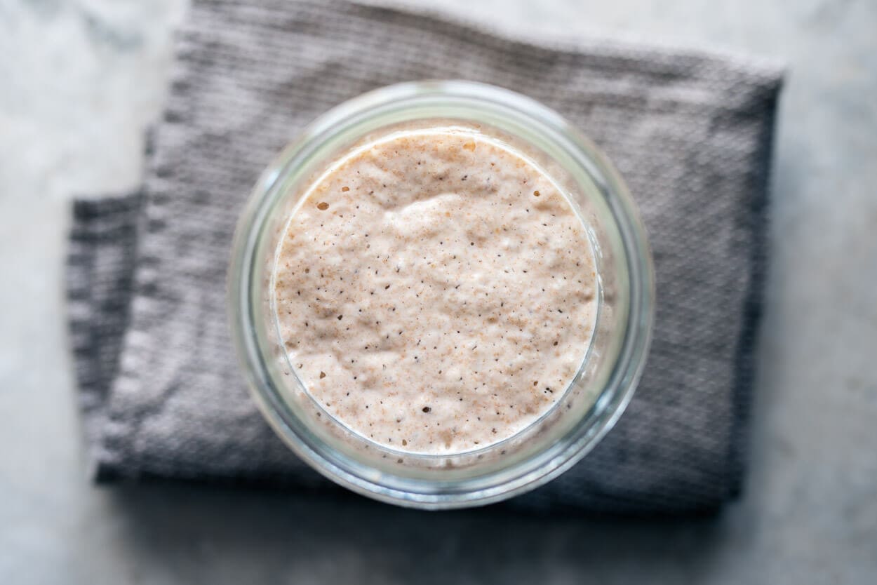 frequently asked sourdough starter questions