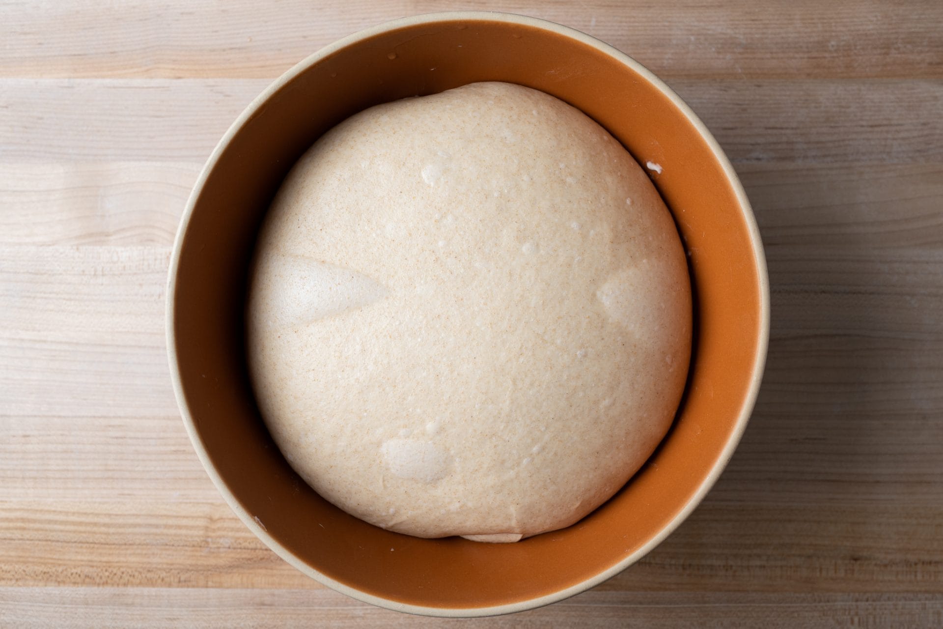 Hot dog bun dough after chilling