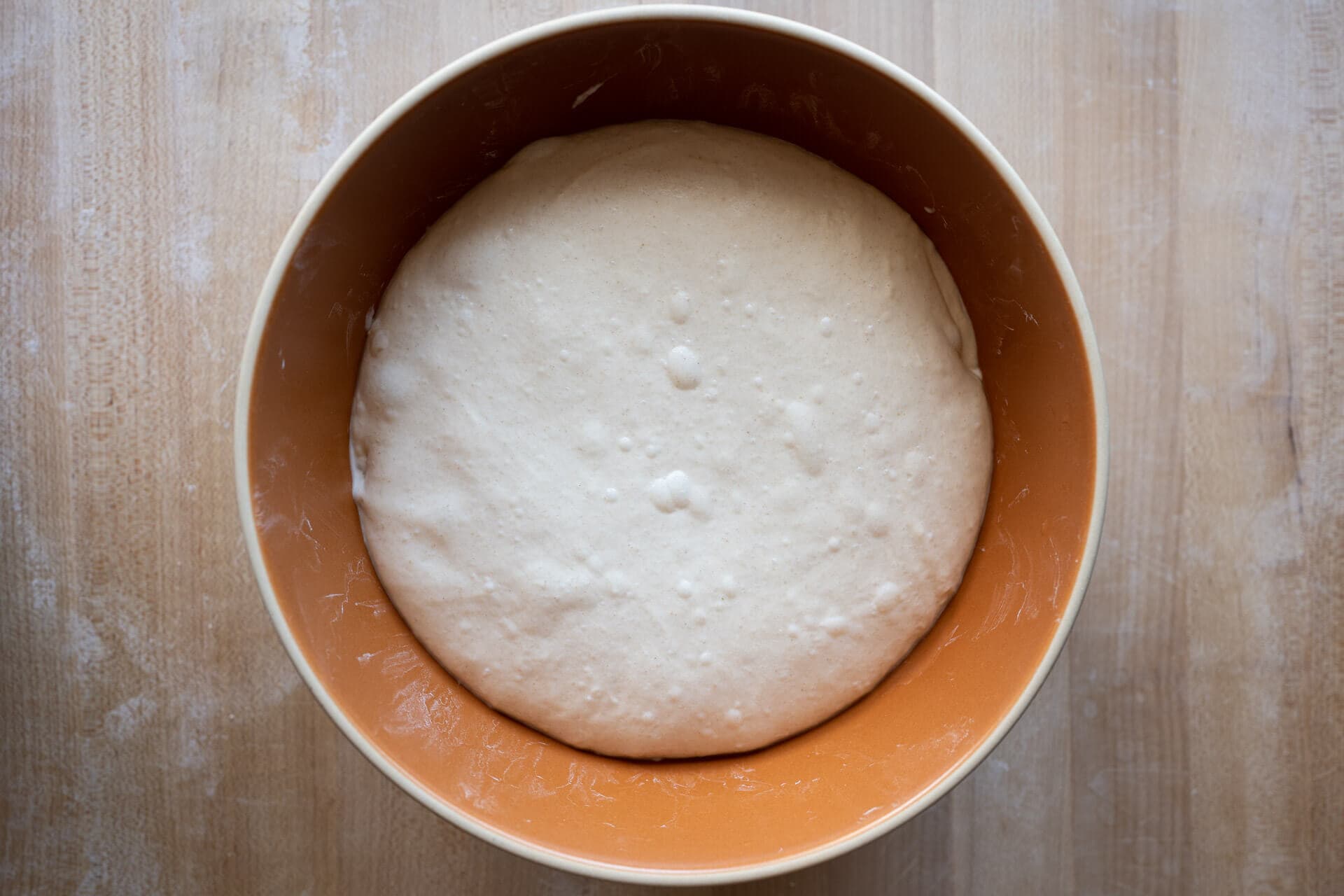 Sourdough dough at end of bulk fermentation