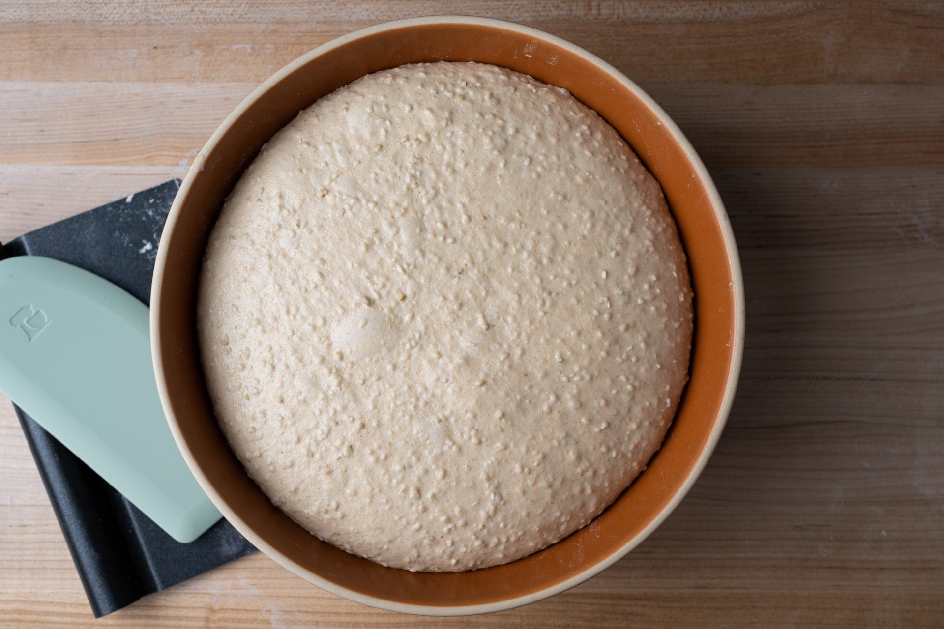 Soft honey buckwheat sandwich bread dough at end of bulk fermentation