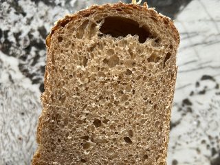 Best honey whole wheat bread over proofed