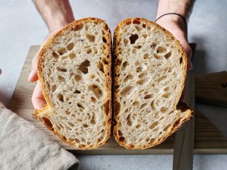 Crumb (interior) of the brown rice and sesame sourdough