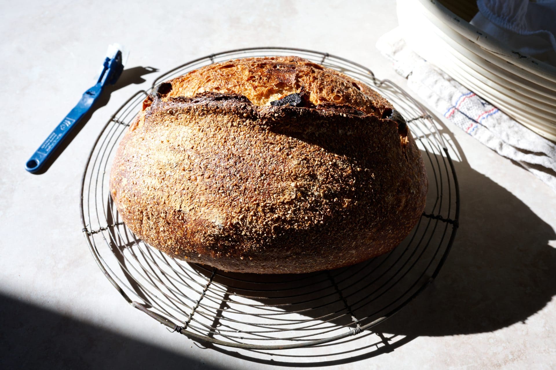 Apricot and thyme sourdough with wheat bran topping