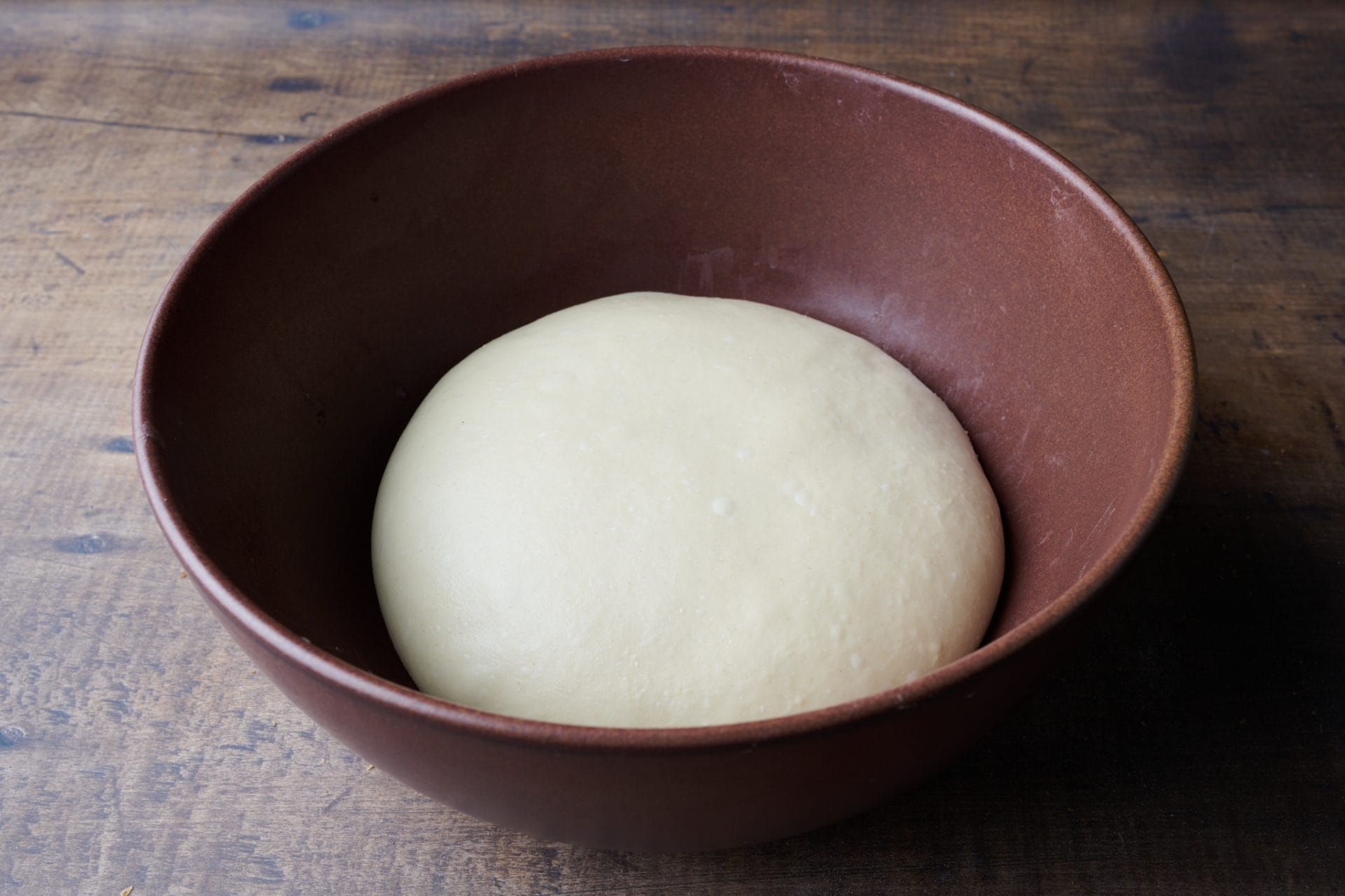 Sourdough shokupan dough at end of bulk fermentation